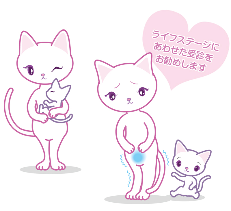 婦人科診療|尿トラブル